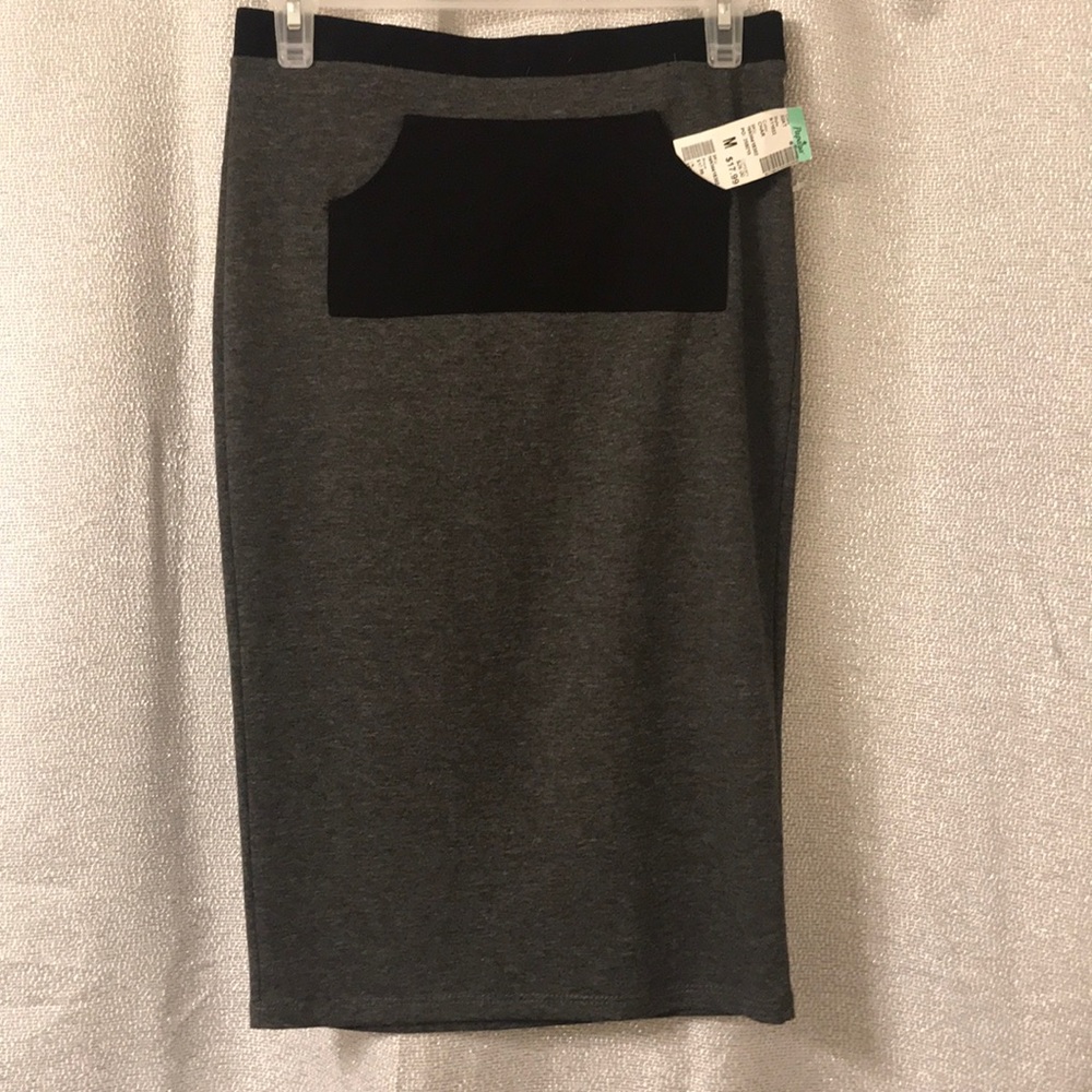 Knee Length Pencil Skirt